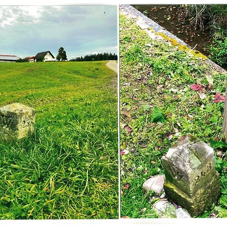 Uebernachtungsmoeglichkeit In Maierhoefen Grunenbach Exterior foto